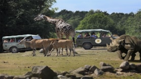 Ree Park Safari - Djursland - Østjylland