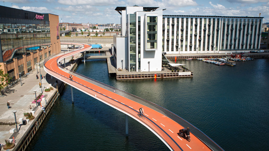 Bildresultat för bicycle snake"