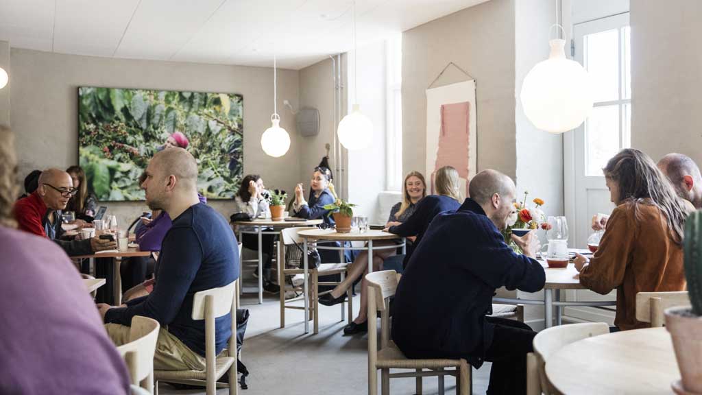 The Coffee Collective