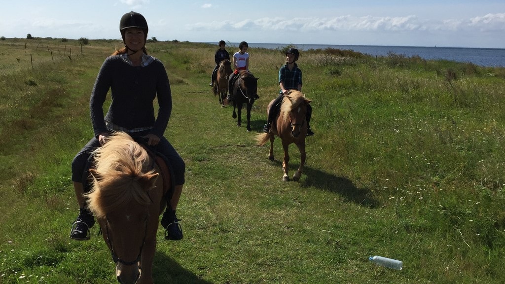 Copenhagen Horseback Riding