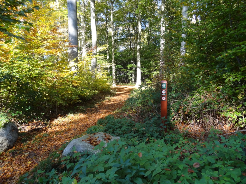 Egebaeksvang Shelter