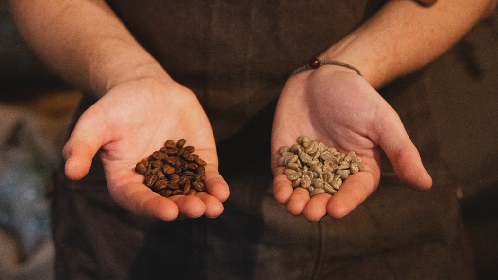 ROAST Islands Brygge