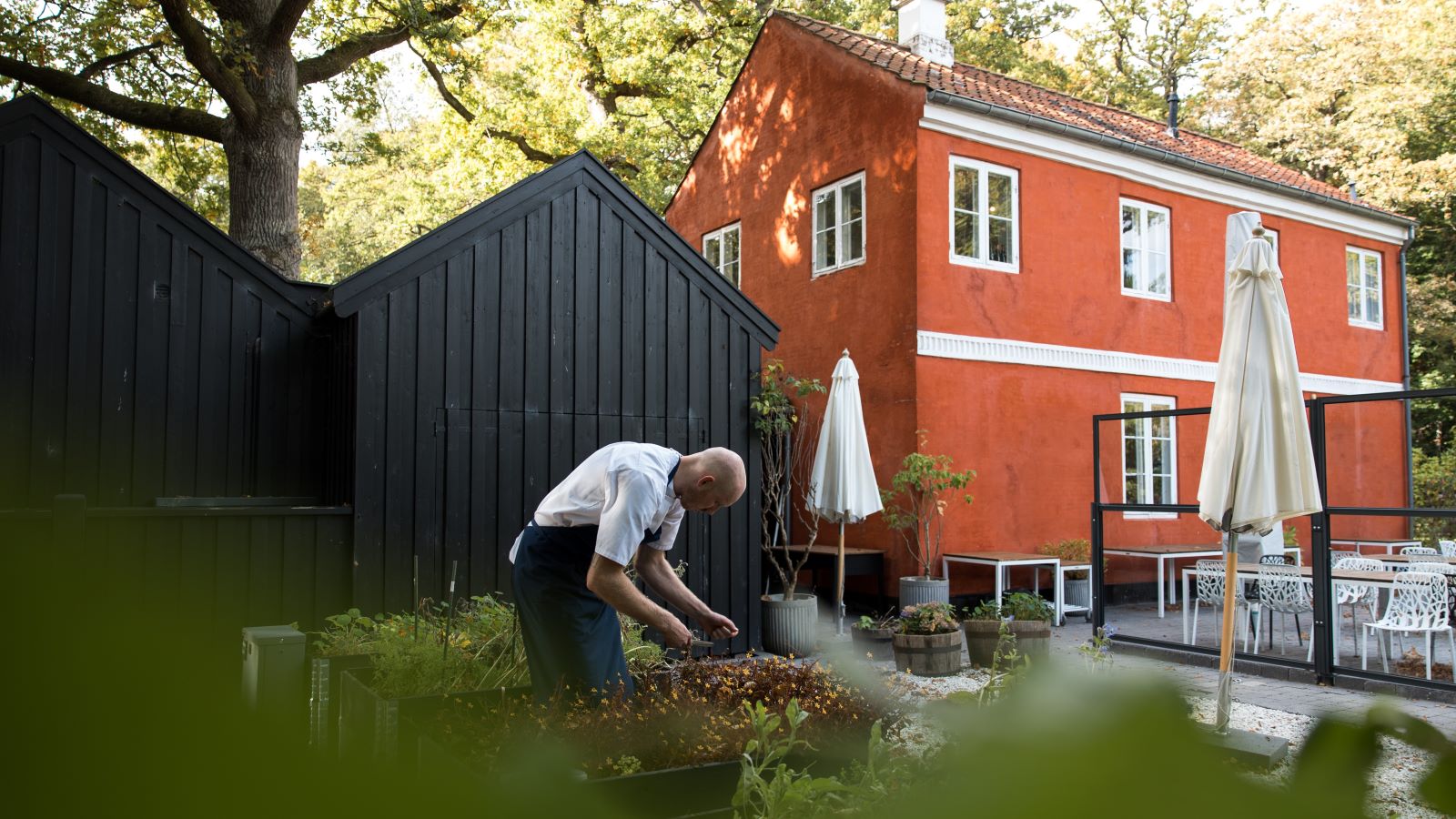 Den Røde Cottage | restaurant | The Park | VisitCopenhagen