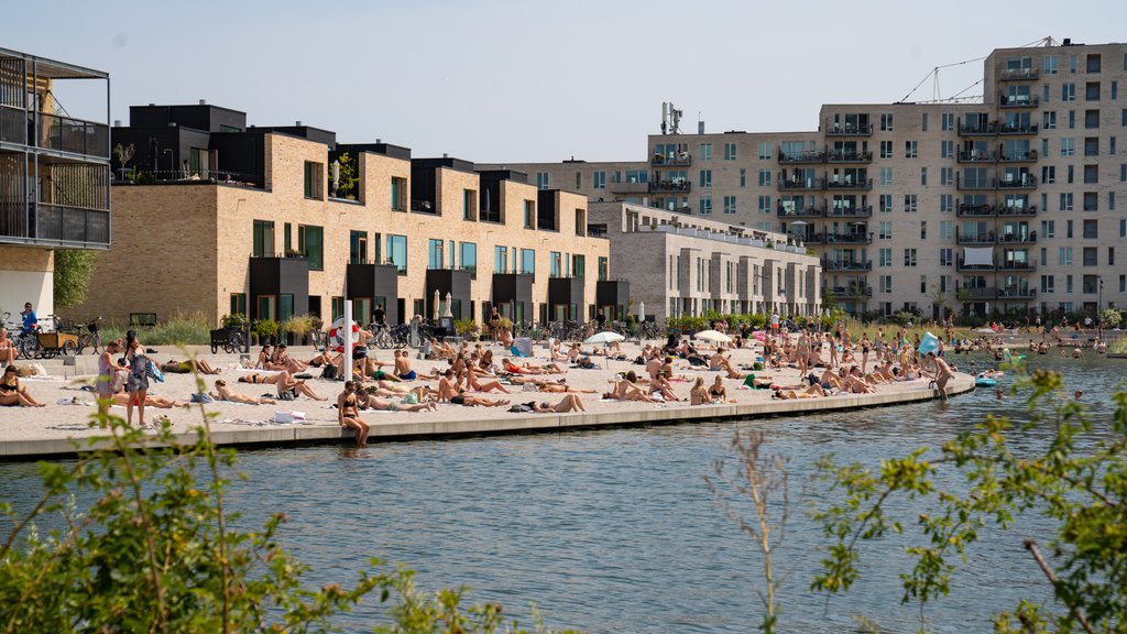 Islands Brygge