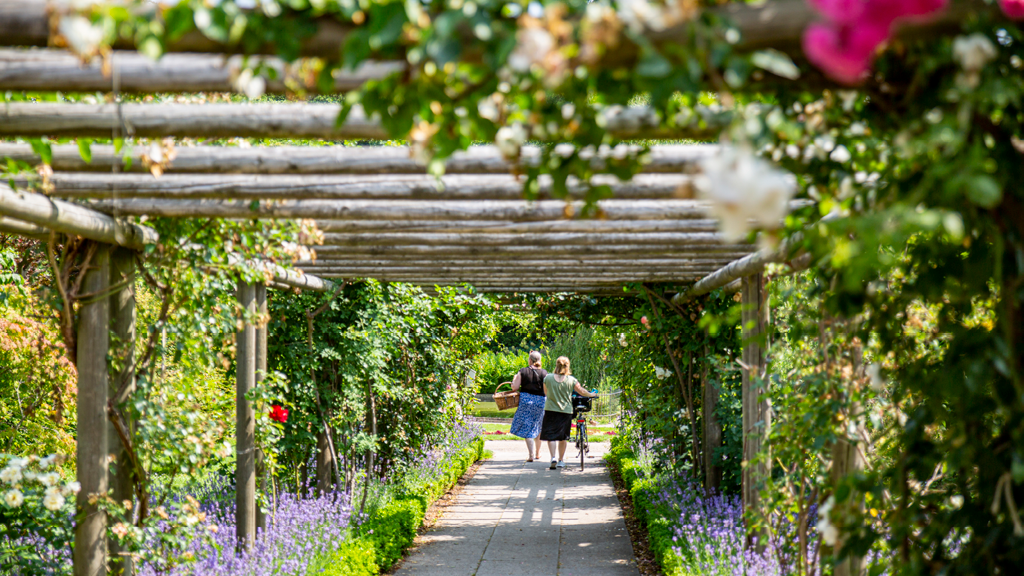 landbohøjskolens have