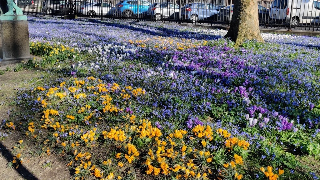 Blomster Ørstedsparken