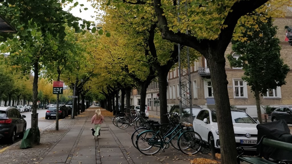Frederiksberg Alle