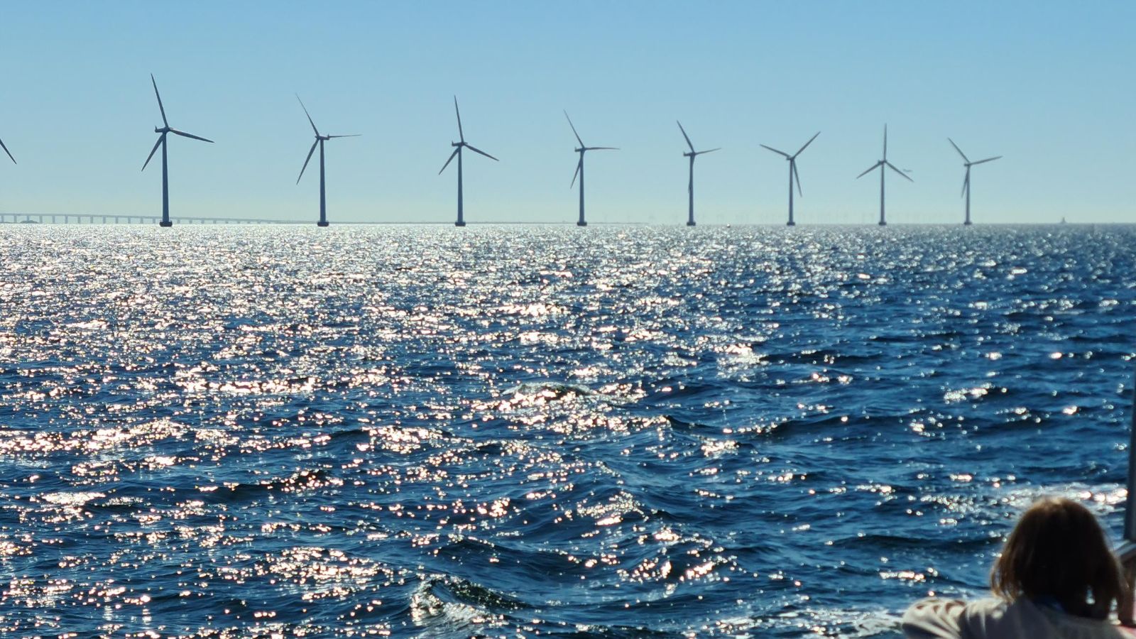 Wind Turbine Safari
