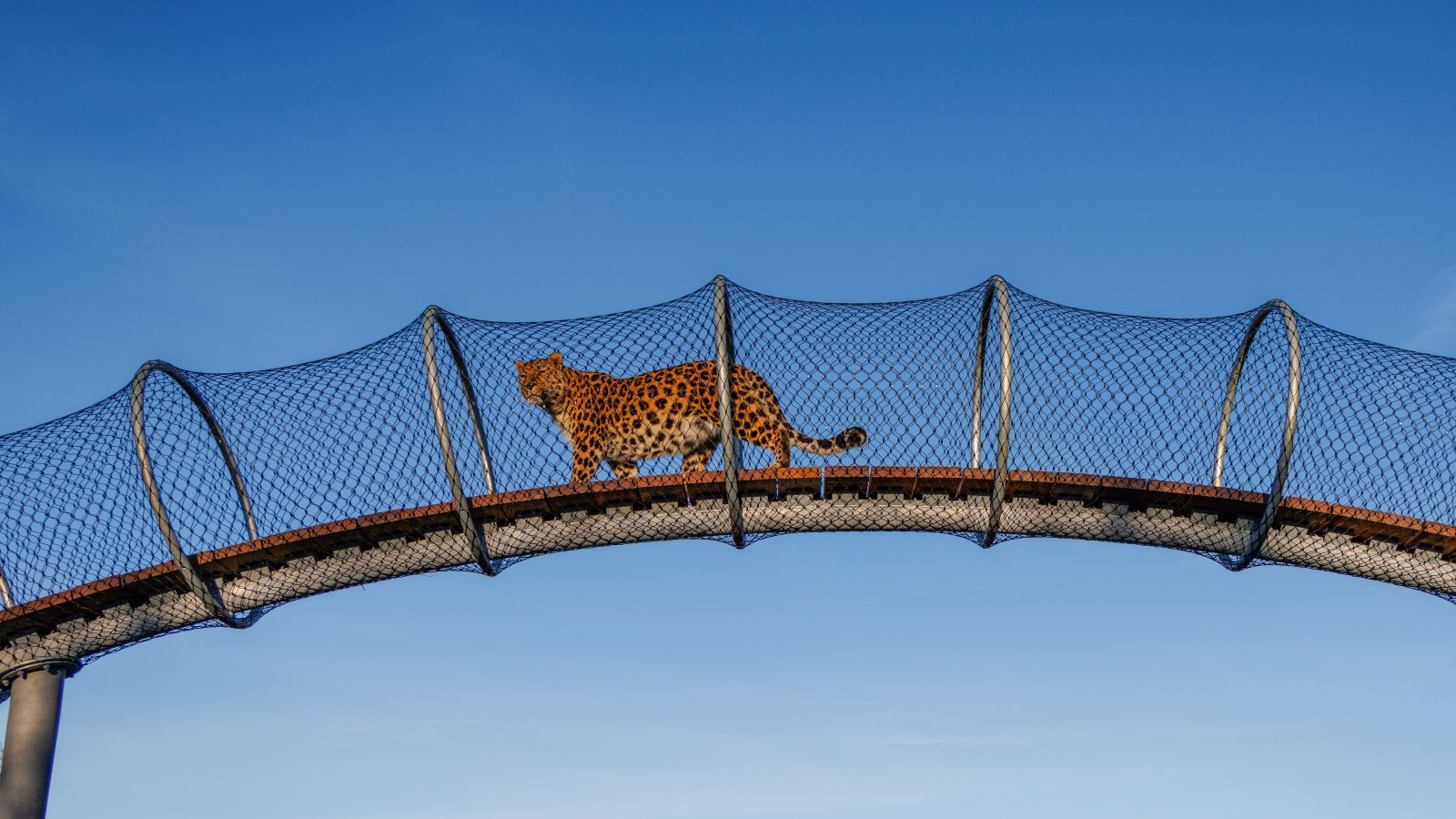 Copenhagen Zoo