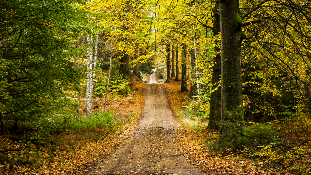 The Par Force Bicycle Route 105