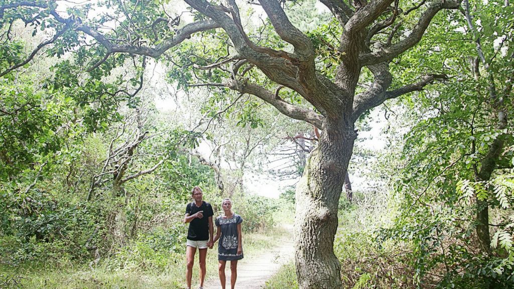 Cycling in Tisvilde Hegn: Where nature meets history