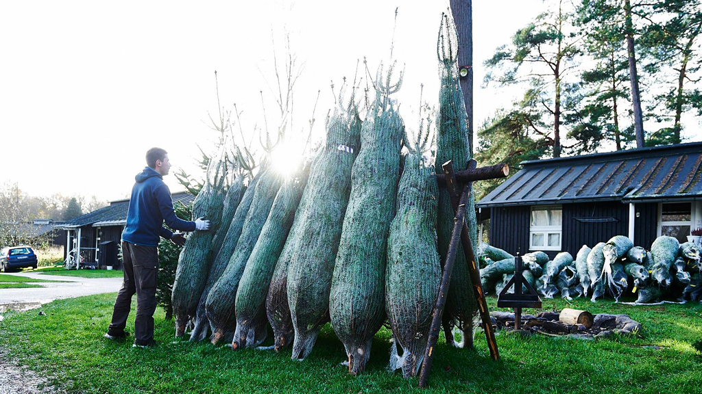Experience Christmas Cheer and Tradition at the Skovskolen Christmas Market