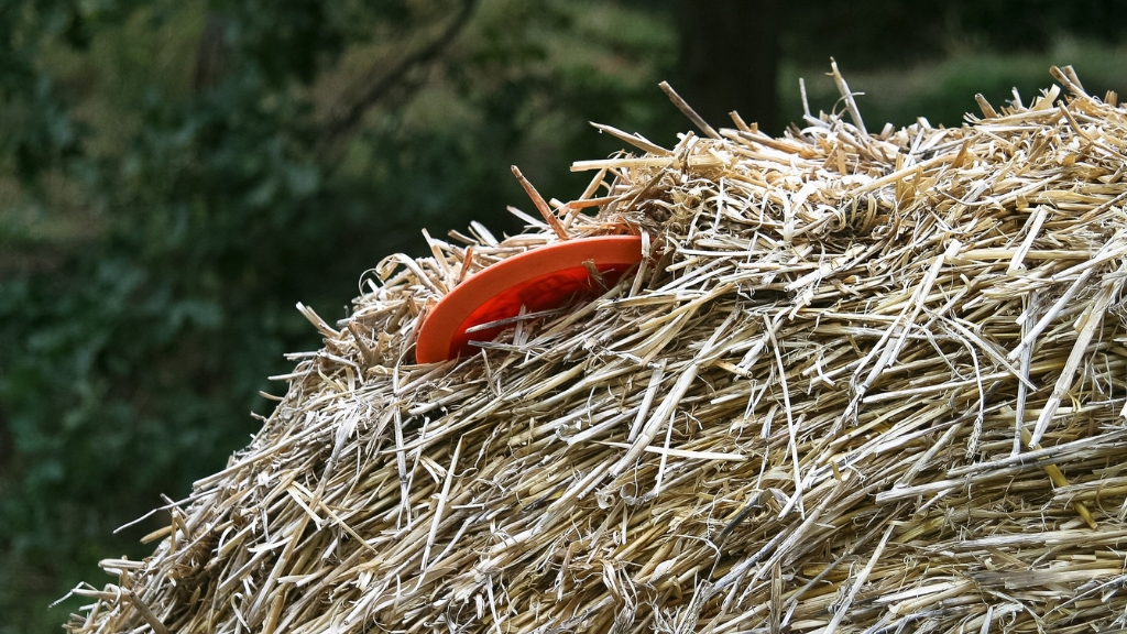 Halsnæs Disc Golf bane