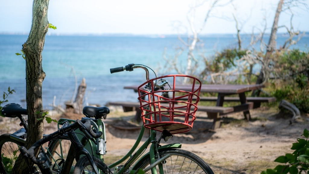 The North Coast Path - Cycling Route 47 - Along the North Zealand Coast