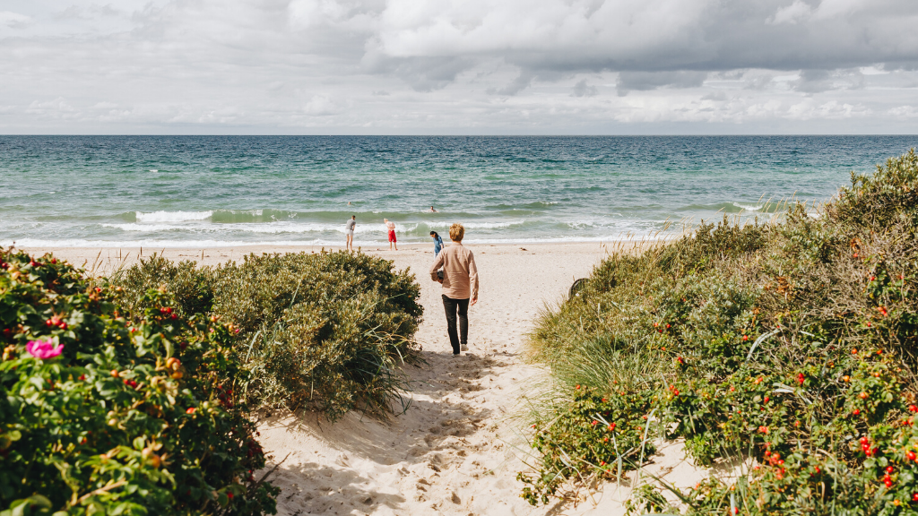 Lifeguards Along the Danish Riviera - Swim Safely
