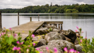 Esrum S Danmarks Vandrigeste VisitNordsj lland Esrum S Danmarks Vandrigeste VisitNordsj lland