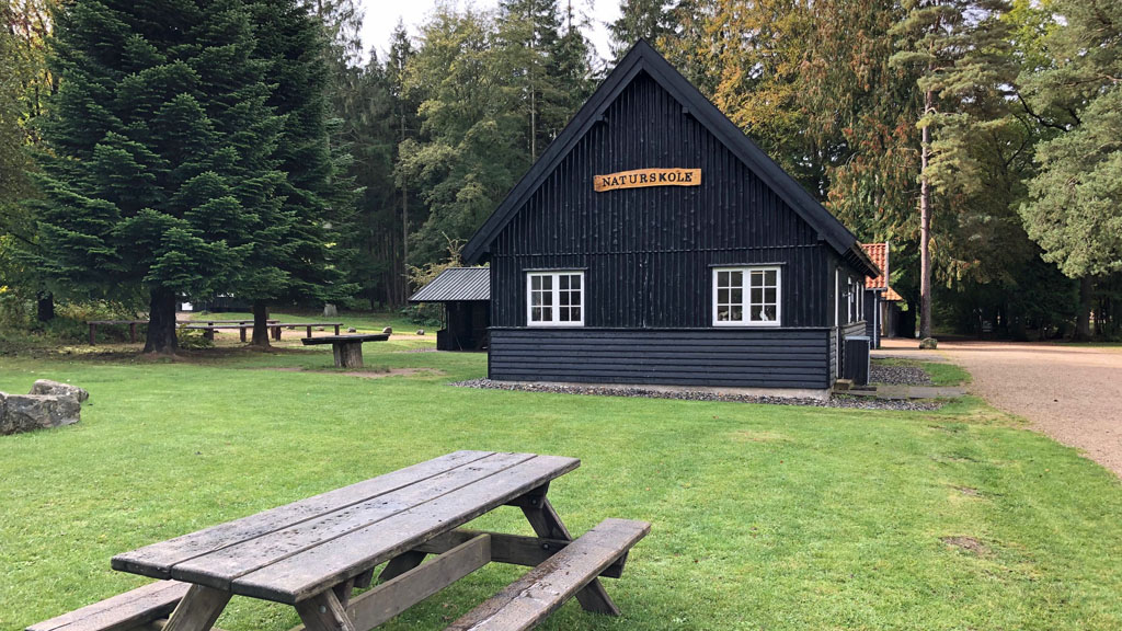 Eghjorten Playground