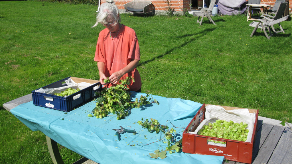Det Våde Får | Craft brewery in North Zealand
