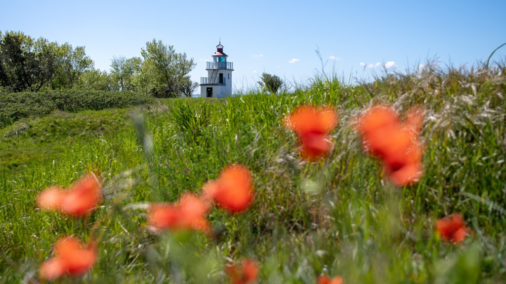 Take the family on a bike tour - 16 km around Hundested