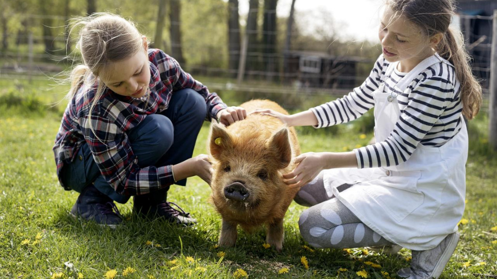 Take the family on a bike tour - 16 km around Hundested