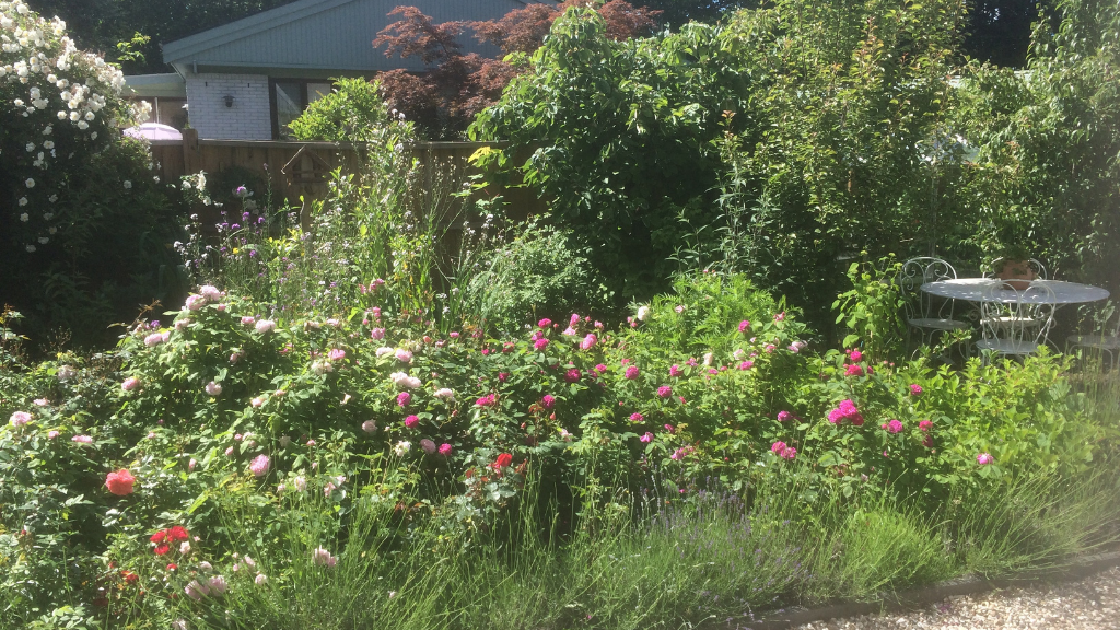 Babylone Bed and Breakfast