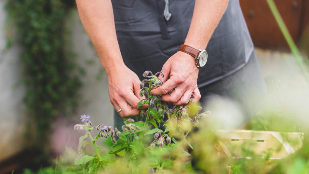 Best Western Hotel Hillerød 