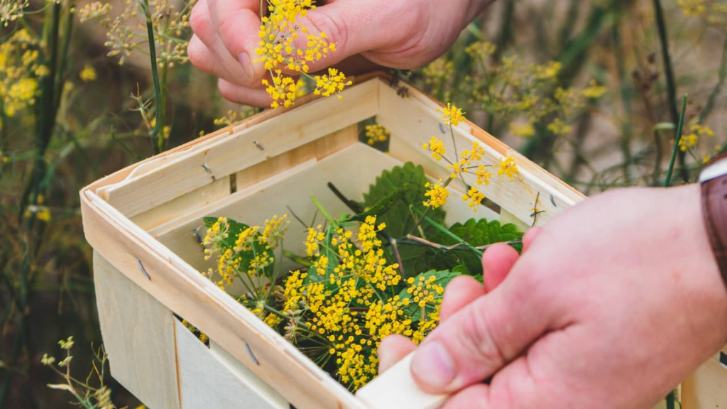 Best Western Hotel Hillerød 