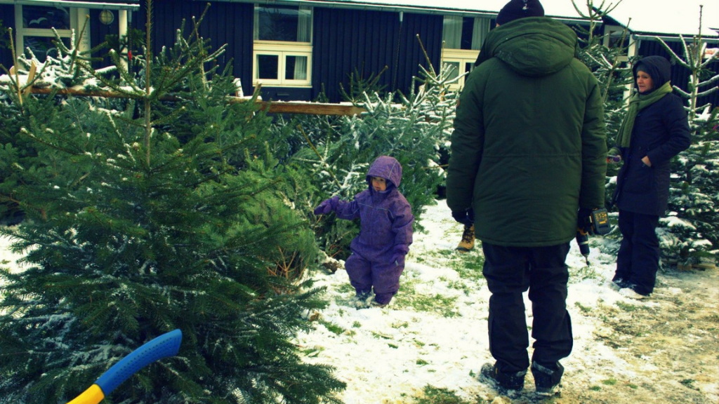 Experience Christmas Cheer and Tradition at the Skovskolen Christmas Market