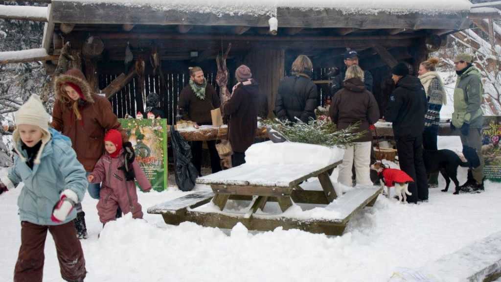 Experience Christmas Cheer and Tradition at the Skovskolen Christmas Market