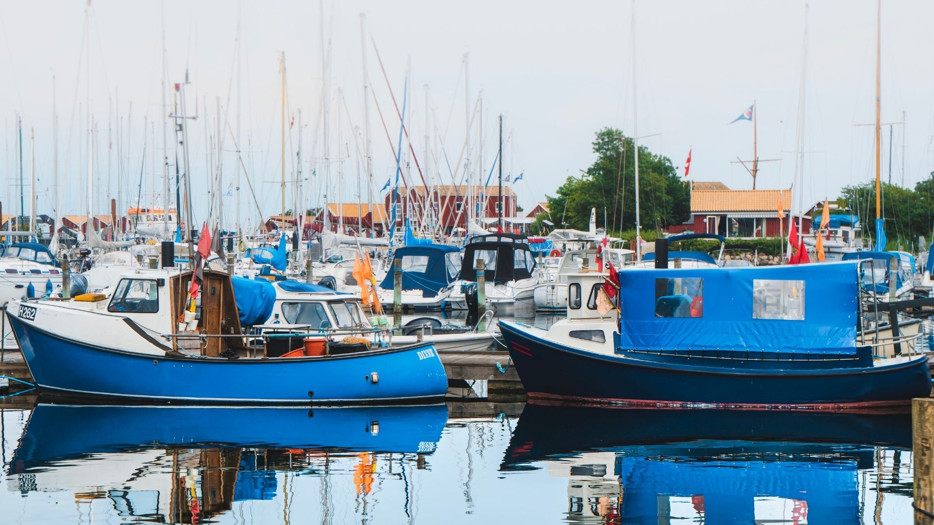 Nivå Walking Route - Rhododendrons and brickwork history