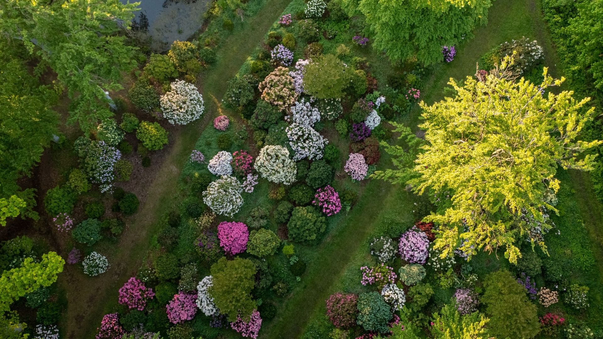 Nivå Walking Route - Rhododendrons and brickwork history