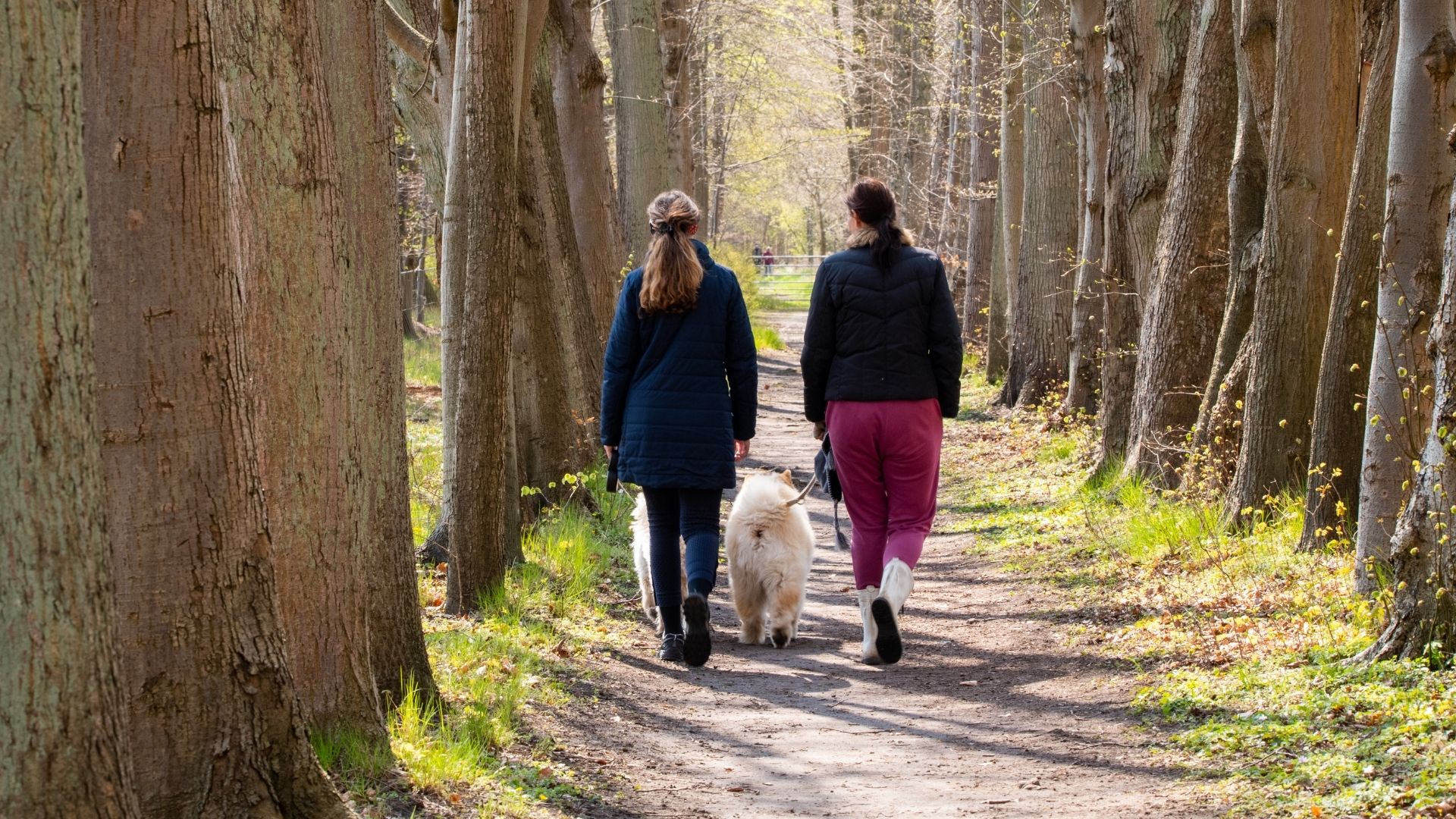 Nivå Walking Route - Rhododendrons and brickwork history