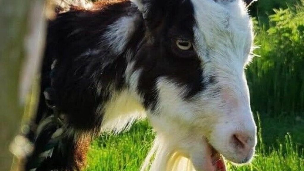 Tranegaard | Experience country life