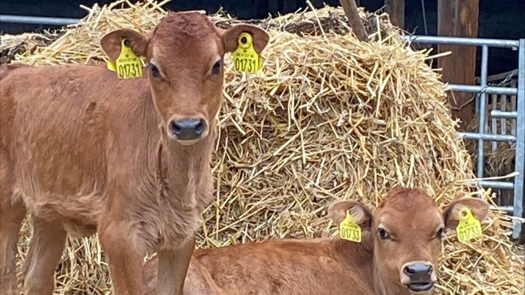 Tranegaard | Experience country life