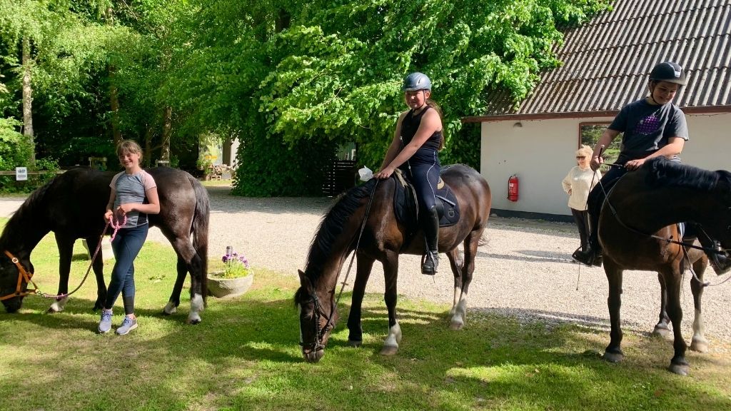 Fredensborg Camping - Rural idyll and culture