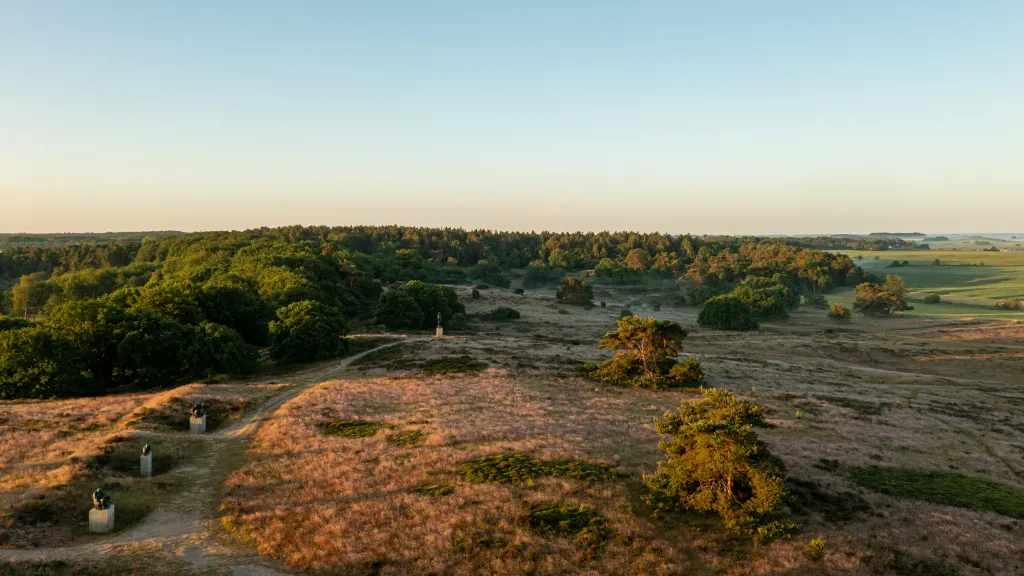 Rusland | A hilly heathland