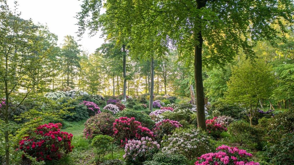 The audio walk through Nivå