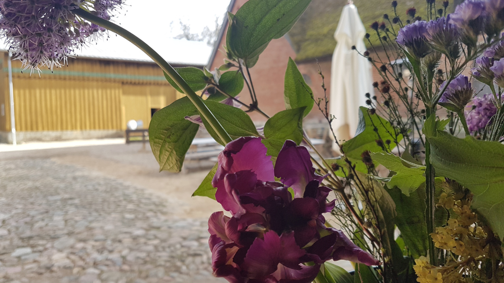 Stay overnight in tent, teepee, with hammock or in Pilgrim's living room at Garbolund