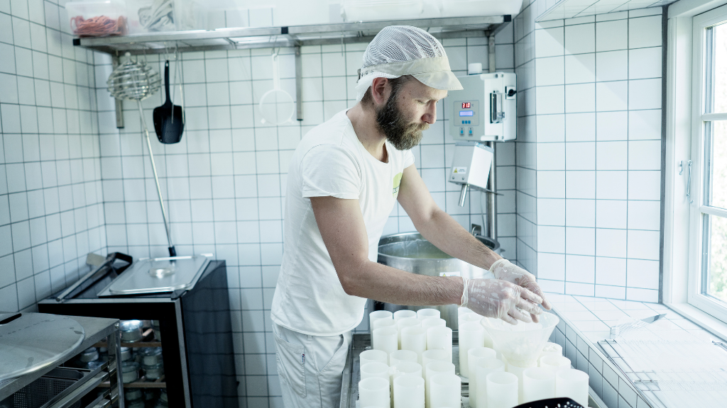 Tothaven Dairy & Café – Homemade Ice Cream and Cheese from the Farm