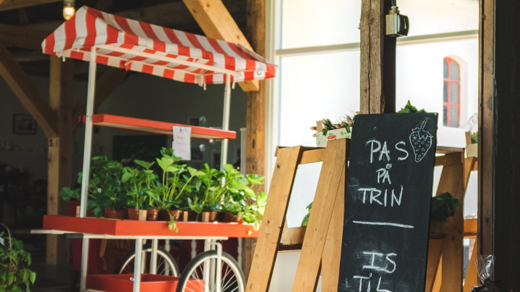 Rokkedyssegaard på Nordkysten -Fresh berries and a cosy café