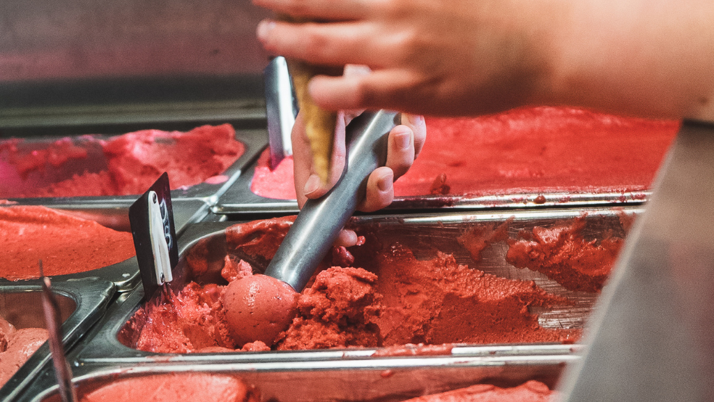 Rokkedyssegaard på Nordkysten -Fresh berries and a cosy café