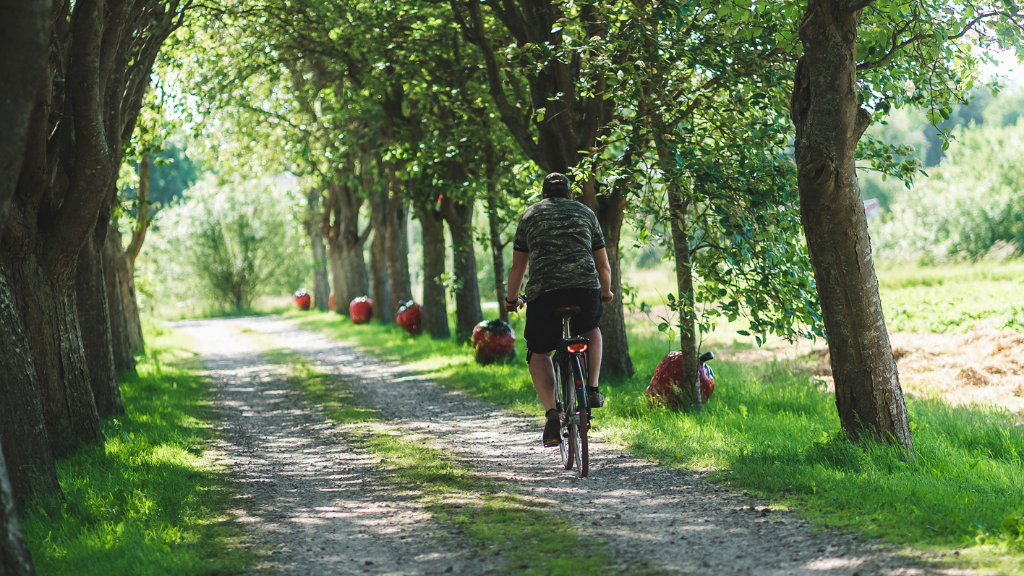 Rokkedyssegaard på Nordkysten -Fresh berries and a cosy café