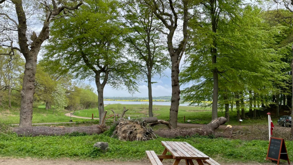 Haldbjerg Café by Tibberuphus