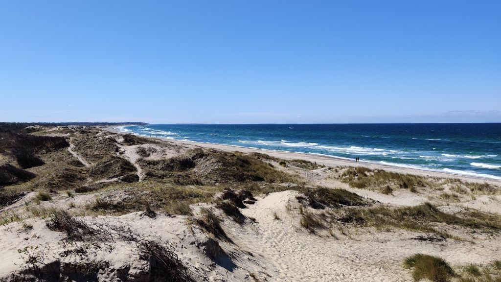 Der gelbe Qualitätspfad | Wandern Sie durch Tisvilde Hegn in Nordseeland