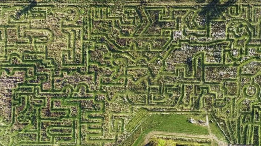 Let's get lost: Gilleleje Maze
