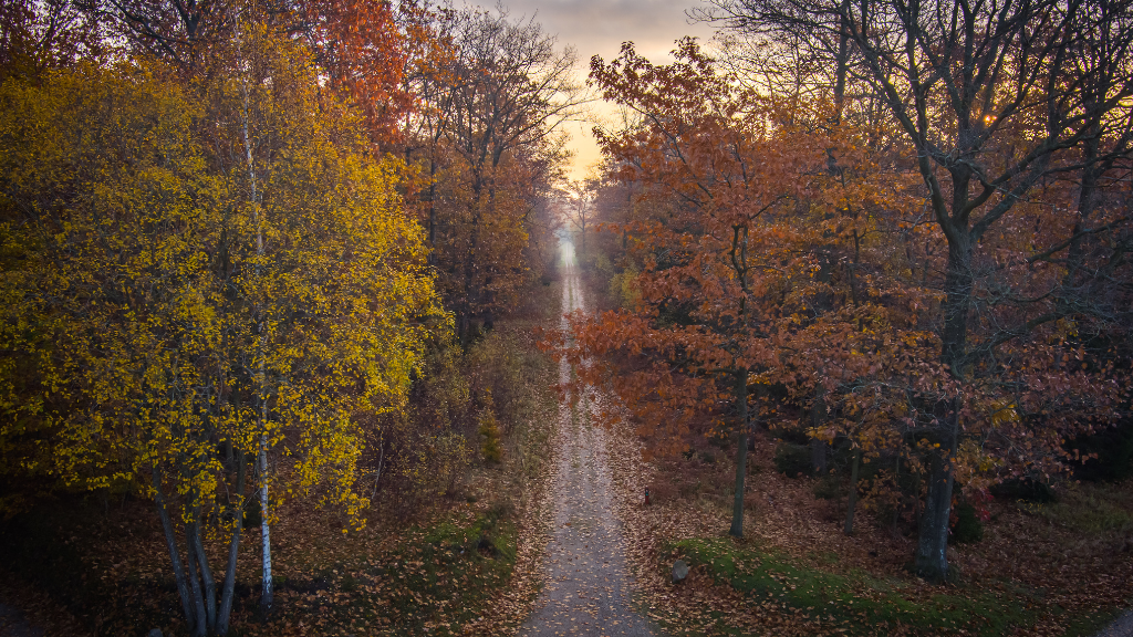 The Royal trails: Discover Hillerød on an 12 km Bike ride