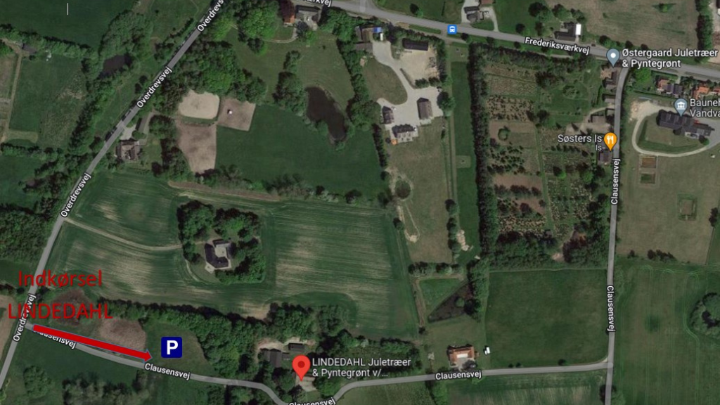 Lindedahls Landcafé - A Scenic Oasis for the Senses