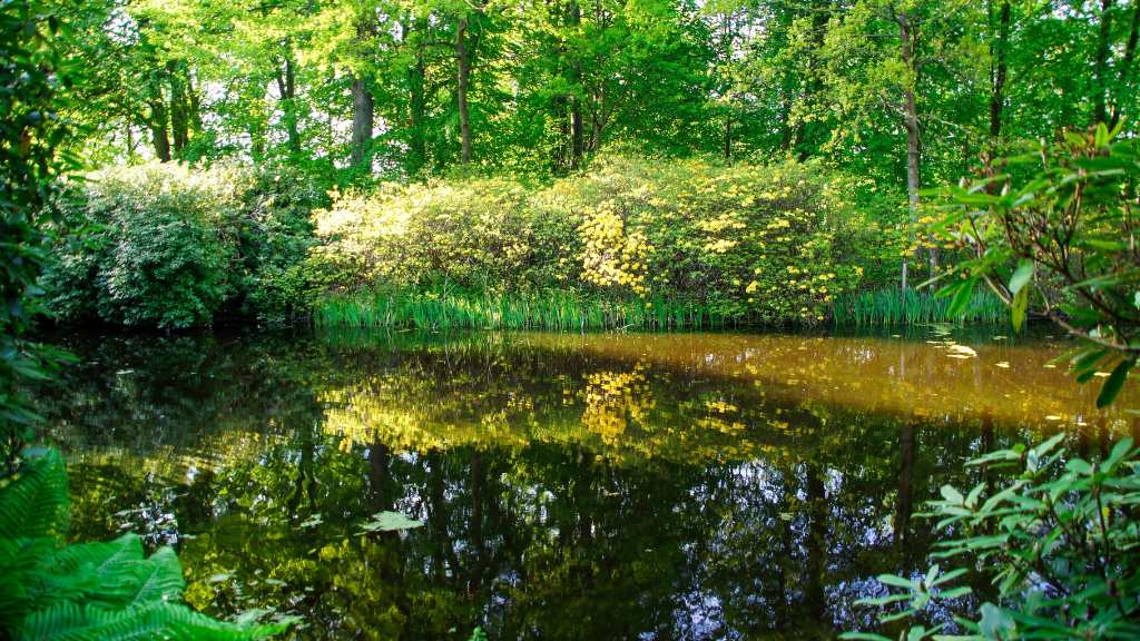 Nivå Walking Route - Rhododendrons and brickwork history