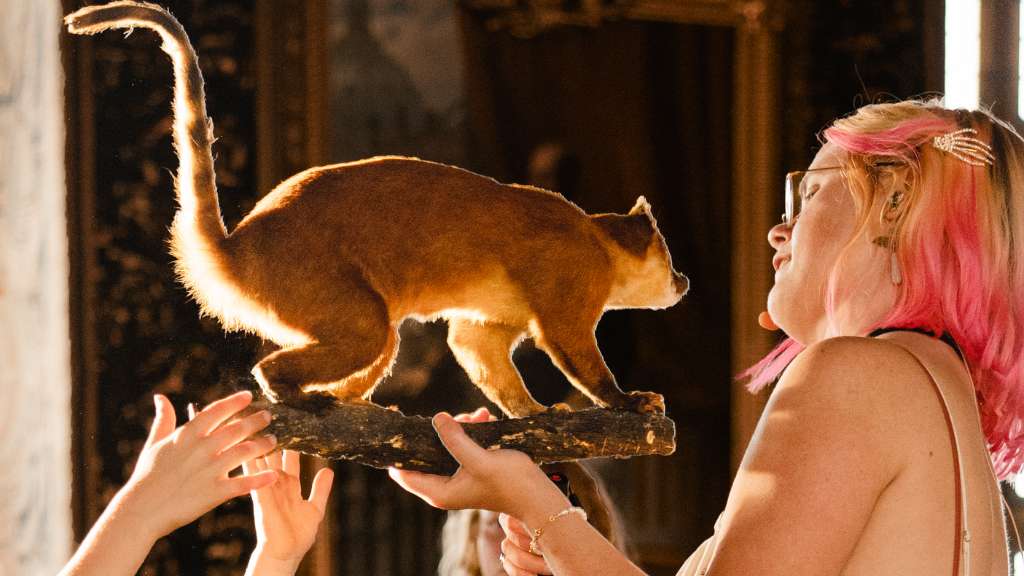 Autumn Adventures at Frederiksborg Castle - Discover crowns, hats and antlers