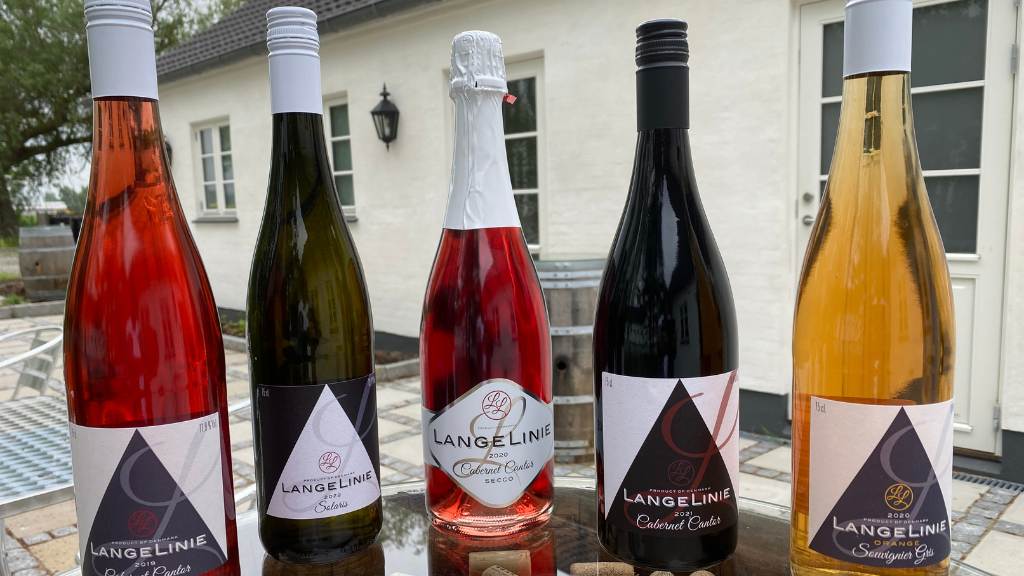 Langelinie Vin – vineyards near Strø Bjerge